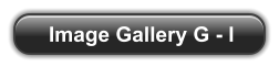Image Gallery G - I