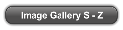 Image Gallery S - Z