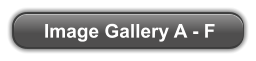 Image Gallery A - F