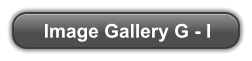 Image Gallery G - I