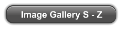 Image Gallery S - Z