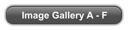 Image Gallery A - F