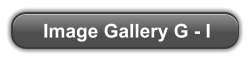 Image Gallery G - I