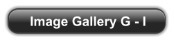 Image Gallery G - I