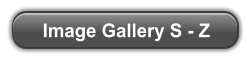 Image Gallery S - Z