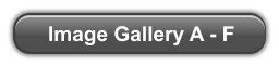 Image Gallery A - F