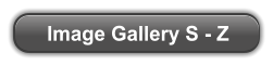 Image Gallery S - Z