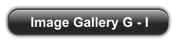 Image Gallery G - I