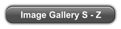 Image Gallery S - Z