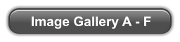 Image Gallery A - F
