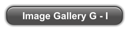 Image Gallery G - I