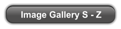 Image Gallery S - Z