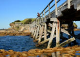 La Perouse