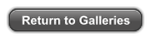 Return to Galleries