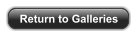Return to Galleries