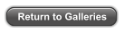 Return to Galleries