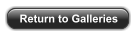 Return to Galleries