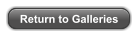 Return to Galleries
