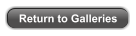 Return to Galleries