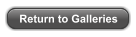 Return to Galleries