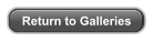 Return to Galleries