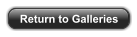 Return to Galleries
