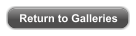 Return to Galleries