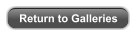 Return to Galleries