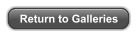 Return to Galleries