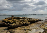 Captain Cook's Landing Place in Australia